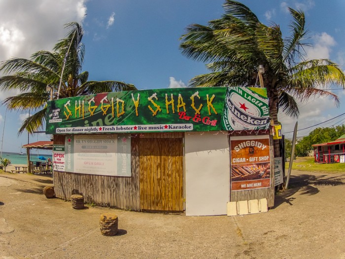 DCIM100GOPRO